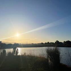 Pelican Point Sanctuary