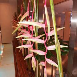 Deko aus frischen Blütenständen in der Hotel-Lobby