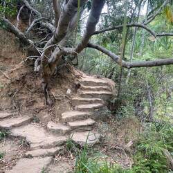 Der Weg durch den Nationalpark