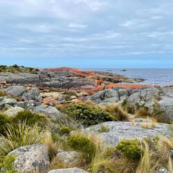 Bay of Fires