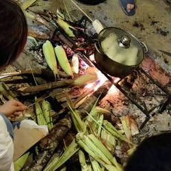 Maiskolven roosteren