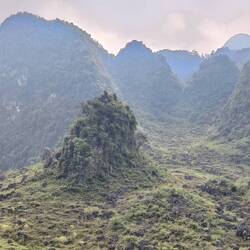 Hier kun je een beetje zien hoe de jungle de rotsen overwoekert.