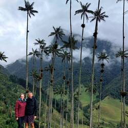 Im Cocora-Tal bei den grössten Palmen der Welt 🤯🤩