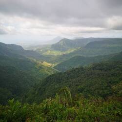 Gorges Viewpoint over the Black River Gorges NP