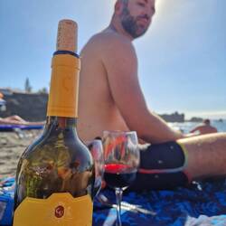 zu Vino sagen wir nie No!