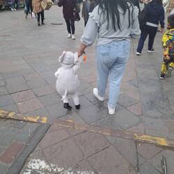 Halloween am Nachmittag