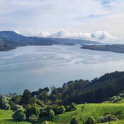 View driving up to Larnach Castle