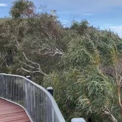 Tourville lighthouse walk - so windy