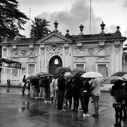 Alle warten auf ....... ?