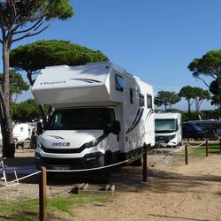 Hier unser Stellplatz am Falesia-Strandabschnitt des Algarve Motorhome Park.