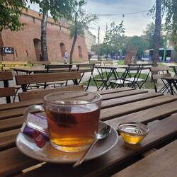 Tea stop at Maria Theresia Bastion