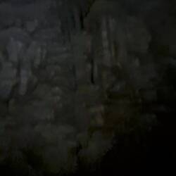 Fledermaushöhle 🦇