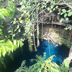 Blick in die Cenote Oxmán