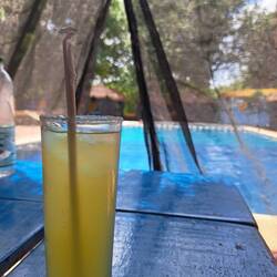 Erfrischungsgetränk am Pool