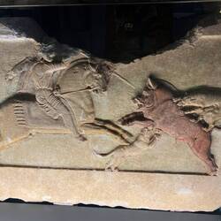 Classic: wild boar hunting on a horse, with two dogs