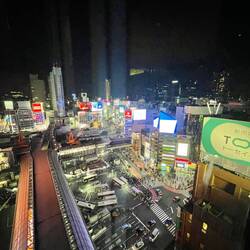 The Shibuya Crossing from the Hikari Building