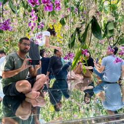TeamLab Planet - These plants moved out of the way if you get too close to them