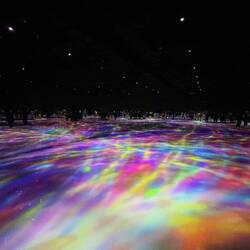 TeamLab Planet - projected flowers and koi on water