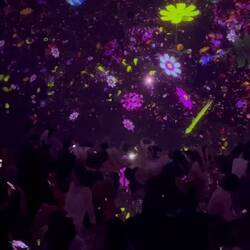 TeamLab Planet - infinite animation of flowers falling from the sky