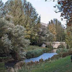 River walk popular with dogwalkers