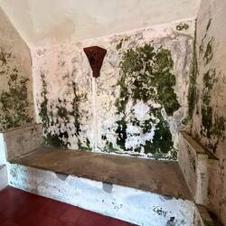 of course... where water is, mold is there