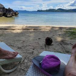 This Coconut fell from the tree right next to us! 😳