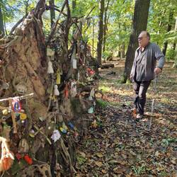 Gifts for the fairies