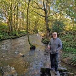 Lots of erosion on this river bank