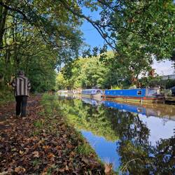 Beautiful woodland walk along the towpath