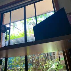 room with a view and with the sound of birds