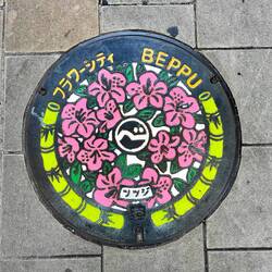 Cities all over Japan have their own interesting drain cover.