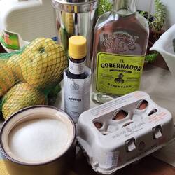 Alles am Start für die erste Runde Pisco Sour