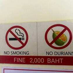 So sieht dad mit den Durians nämlich normalerweise aus. Die stinken so arg, dass die überall 🚫 sind.