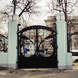 Совы не то, чем кажутся