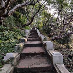 Steps to climb Phousi hill