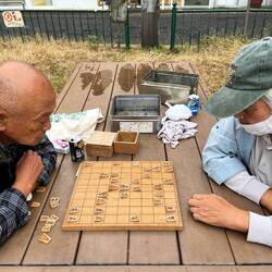Playing shogi at the park