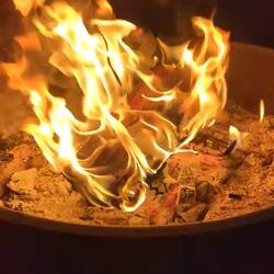 Desert Pine, the best smelling and burning fire wood