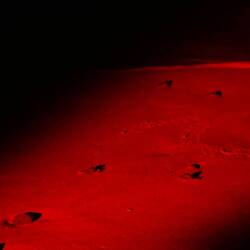 der Weg zum Strand wird durch den Mond bestimmt