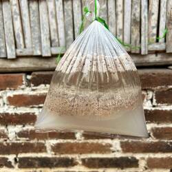 das ist die langsame Filterung