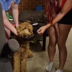 Ollie doesnt want Alex to wear underwear 🤣