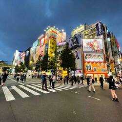 This is Akihabara - home to gamers, anime and manga comics