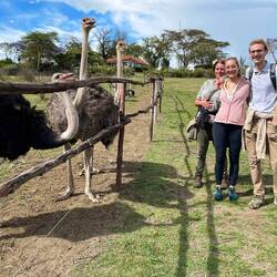 Toch een beetje schrik van de struisvogels