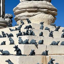 The mice