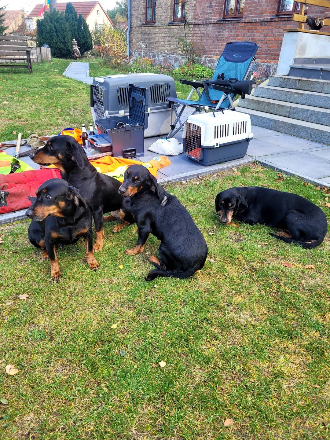 Gisi, Bjelle, Jaga und Dawai