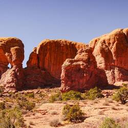 Procession of elephants