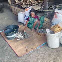 Eine alte Frau knackt Macadamia-Nüsse