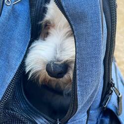 Nach der Fahrradfahrt