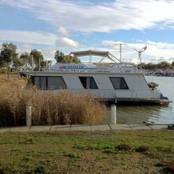 Random shot taken at a river outside Adelaide.