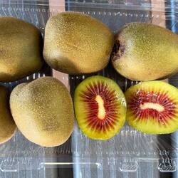 Kiwi fruit from Karari Farmers' Market