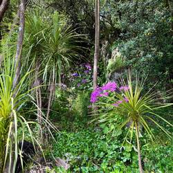 Es ist Frühling 🌸